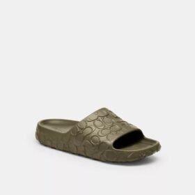 Bay Slide in Signature