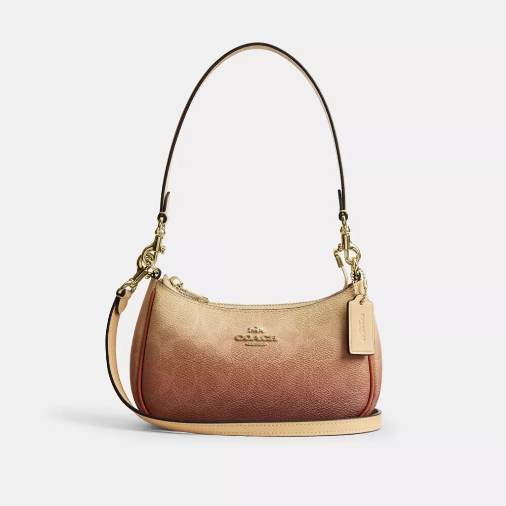 Borsa a tracolla Teri Mini in Signature Canvas