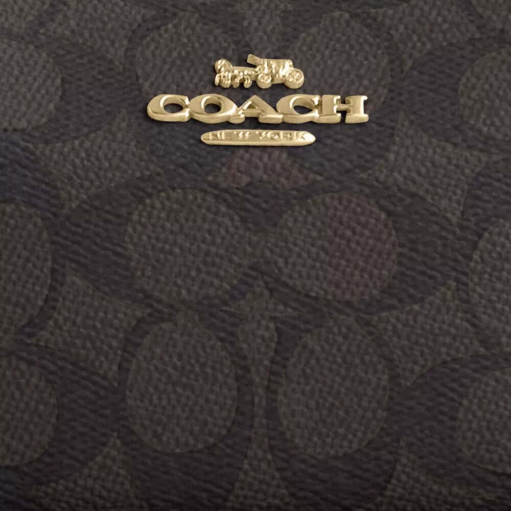 Borsa a tracolla Teri Mini in Signature Canvas