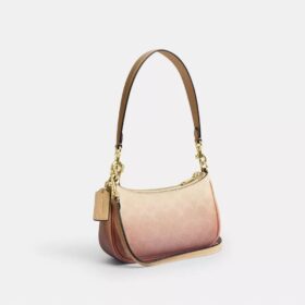 Borsa a tracolla Teri Mini in Signature Canvas