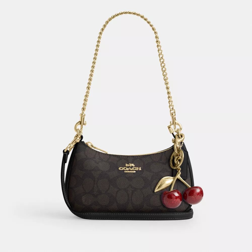 Borsa a tracolla Teri Mini in Signature Canvas