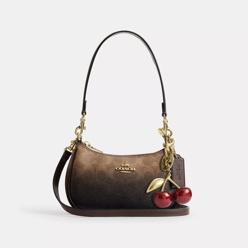 Borsa a tracolla Teri Mini in Signature Canvas
