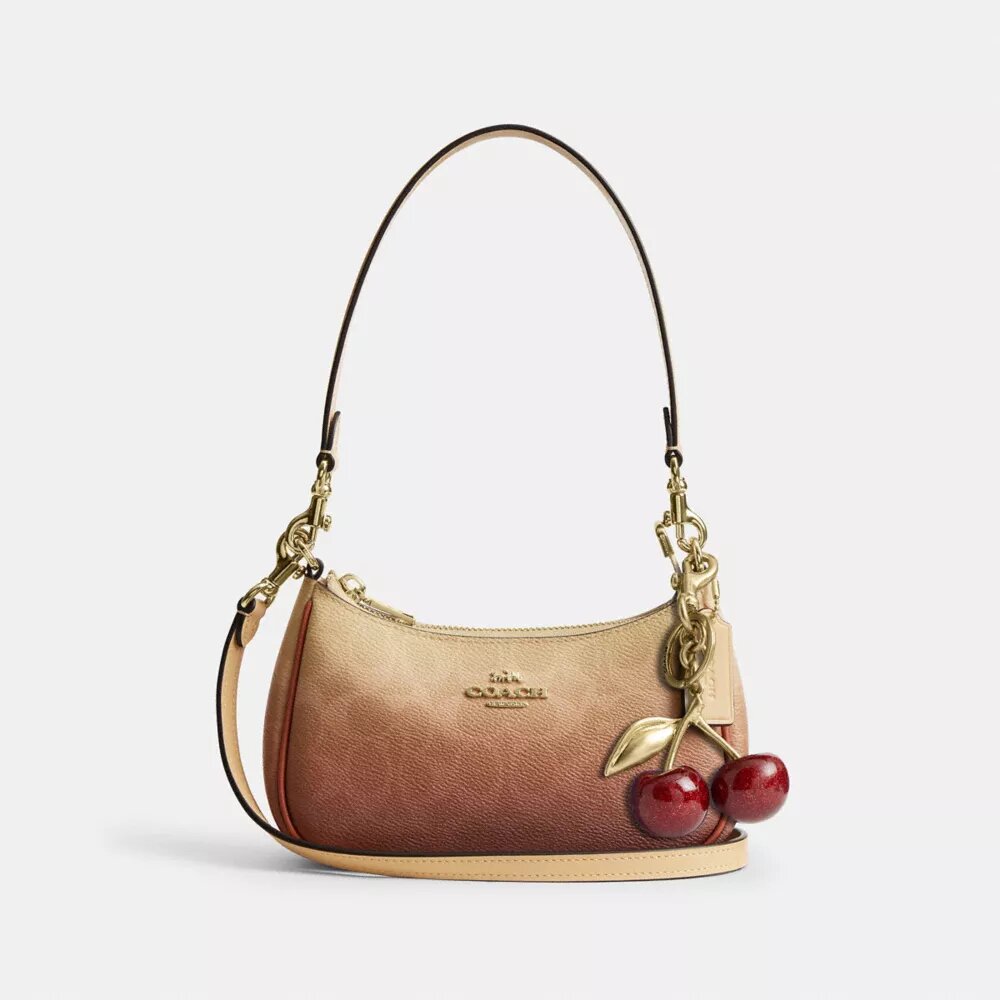 Borsa a tracolla Teri Mini in Signature Canvas