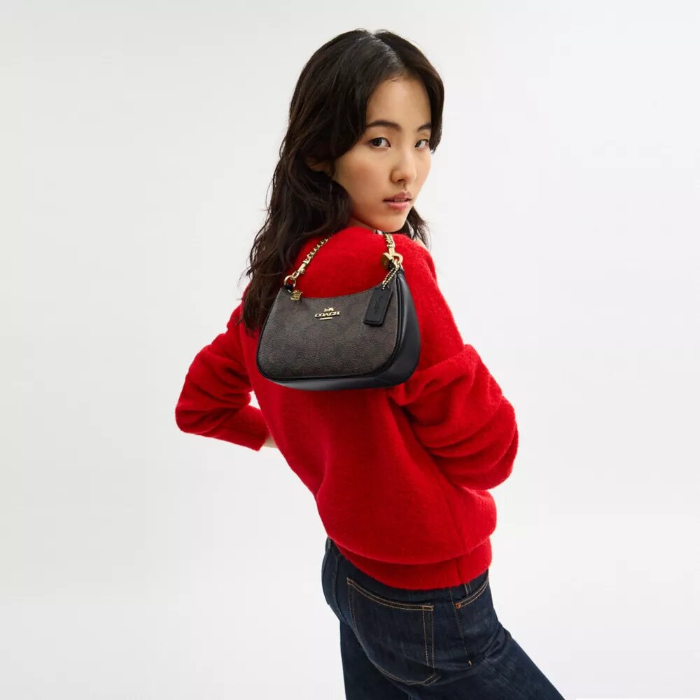 Borsa a tracolla Teri Mini in Signature Canvas