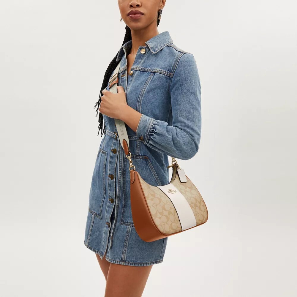 Borsa Hobo Teri in Signature Canvas a righe