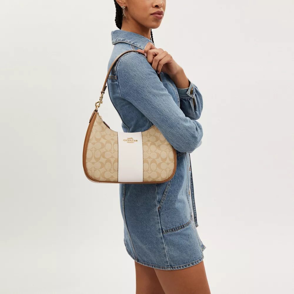 Borsa Hobo Teri in Signature Canvas a righe
