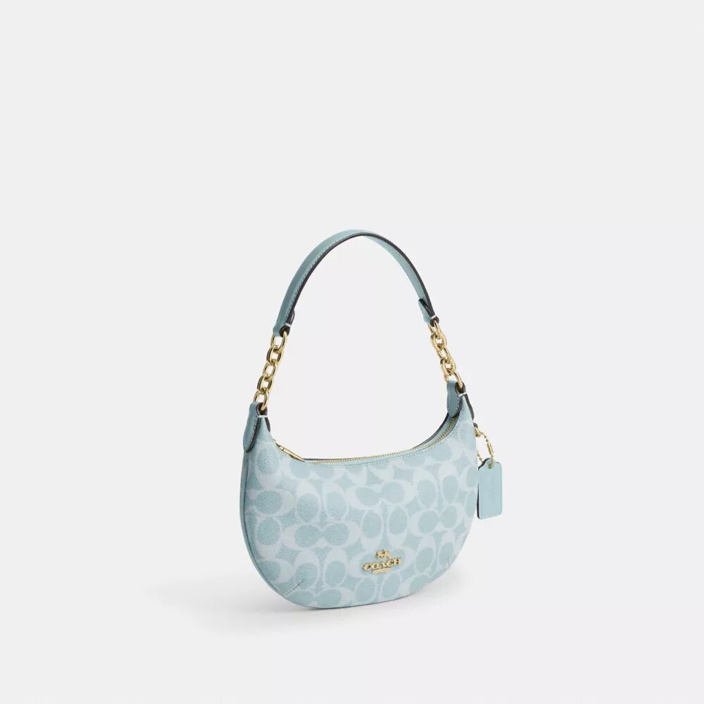Borsa Mini Payton in Signature Canvas