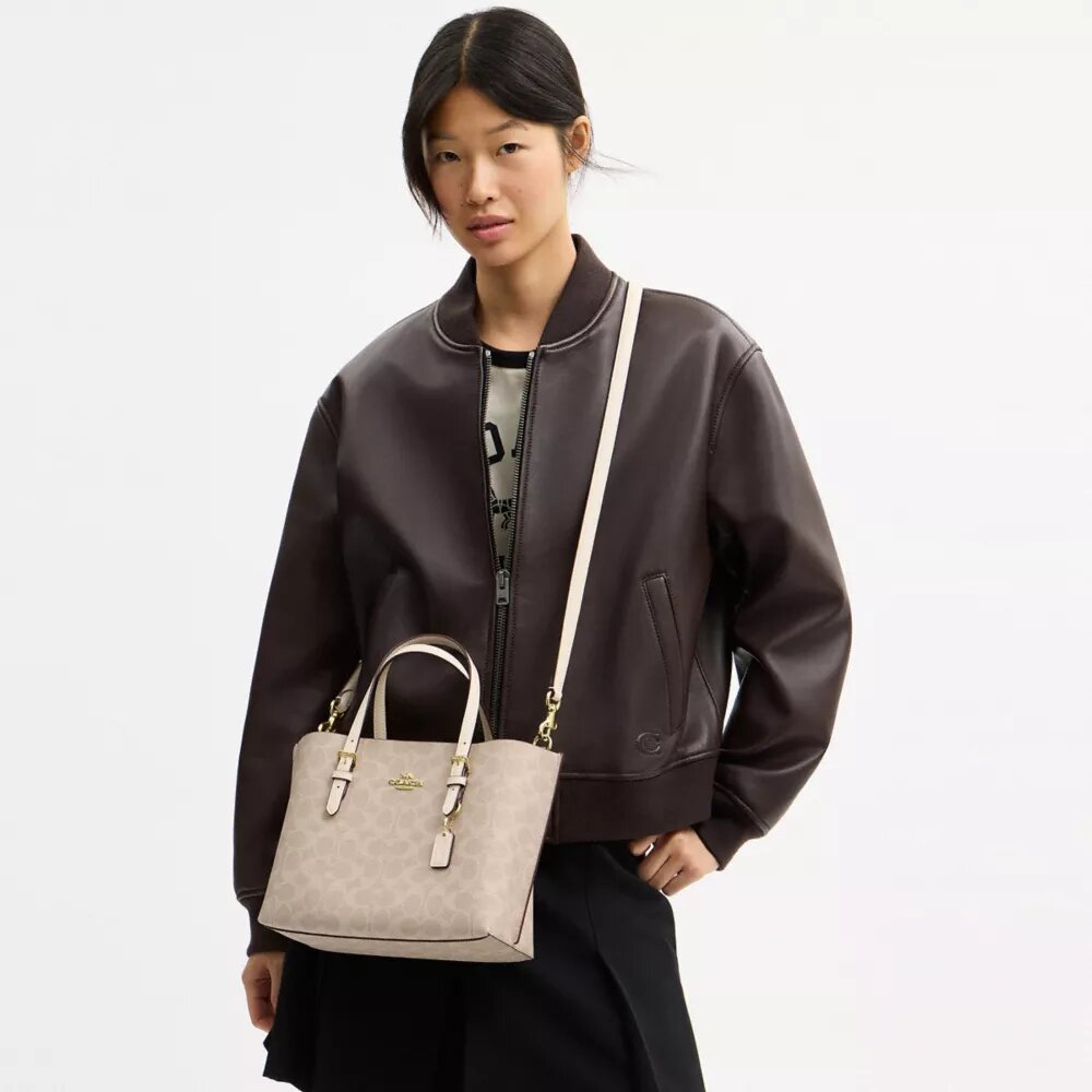 Borsa Tote Mollie 25 in Signature Canvas