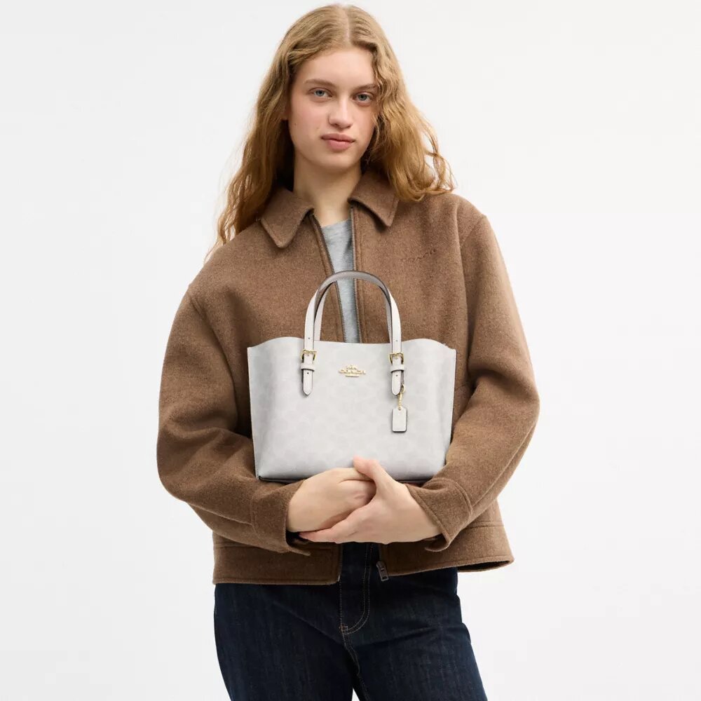 Borsa Tote Mollie 25 in Signature Canvas