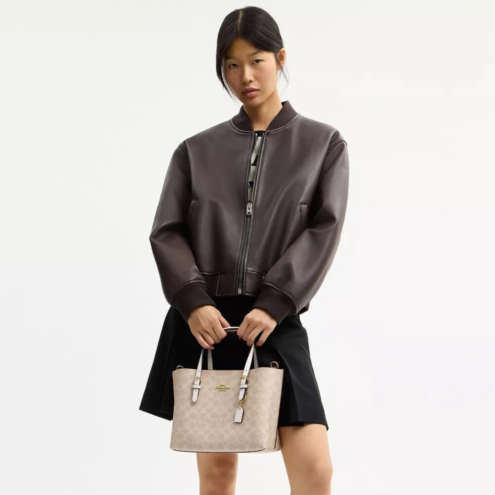 Borsa Tote Mollie 25 in Signature Canvas