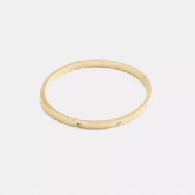 Bracciale a cerniera essenziale