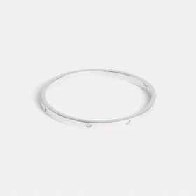 Bracciale a cerniera essenziale