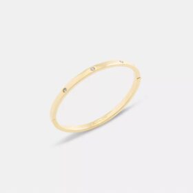 Bracciale a cerniera essenziale