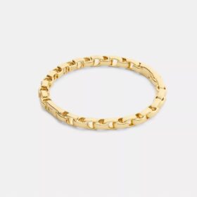Bracciale rigido con catena a cerniera iconico