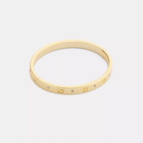 Bracciale rigido con cerniera a C ripetuta