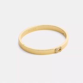 Bracciale rigido con cerniera Pava C