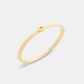 Bracciale rigido sottile con cerniera, modello iconico