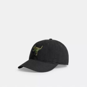 Cappellino da baseball con toppa Rexy