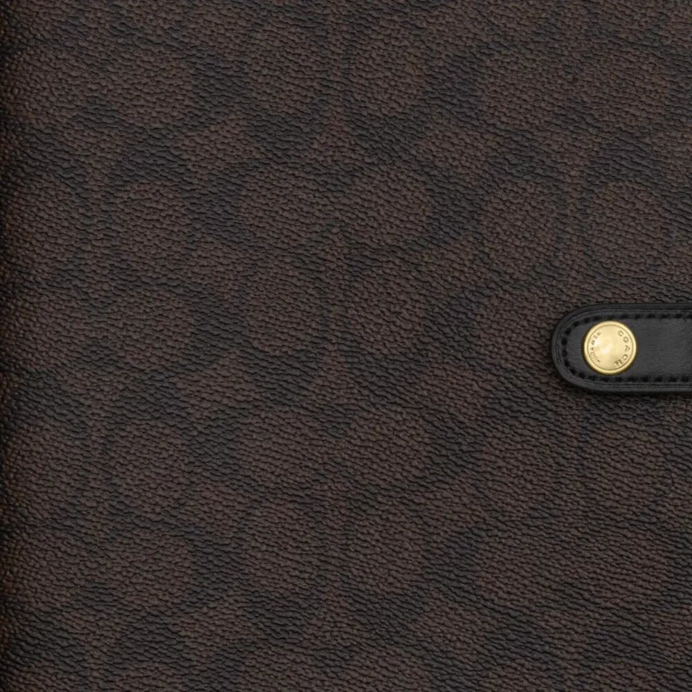 in Signature Canvas