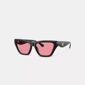 Occhiali da sole Cat Eye con dettagli in C