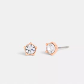 Orecchini a bottone “Halo Tea Rose”