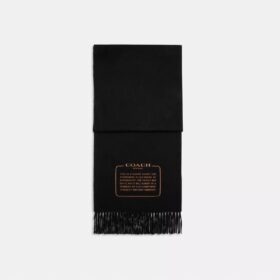 Sciarpa in cashmere con toppa ricamata