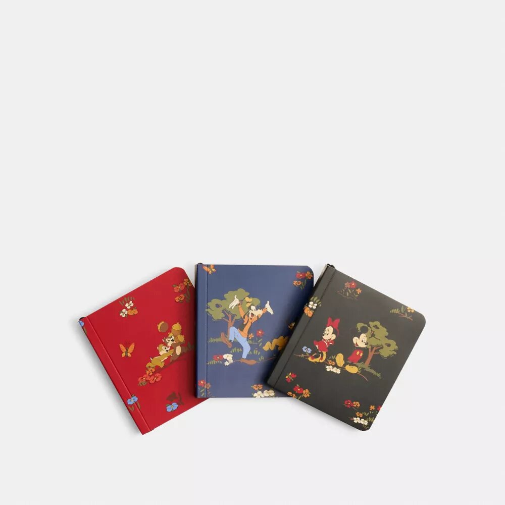 Set di taccuini Disney X Coach con Topolino e i suoi amici