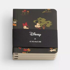 Set di taccuini Disney X Coach con Topolino e i suoi amici