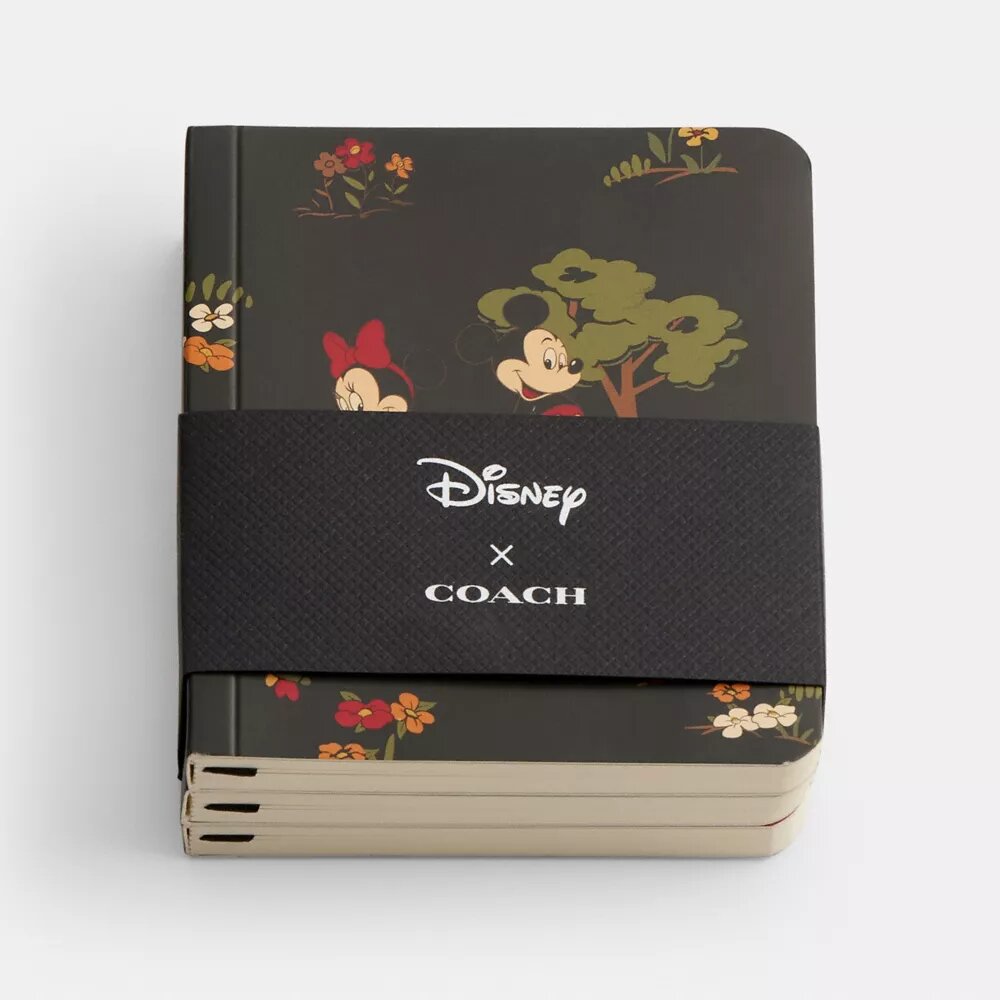 Set di taccuini Disney X Coach con Topolino e i suoi amici
