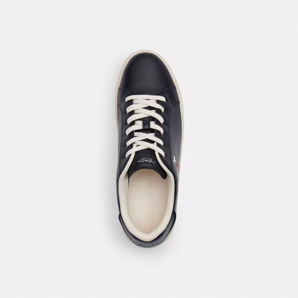 Sneaker alte Disney X Coach con Topolino