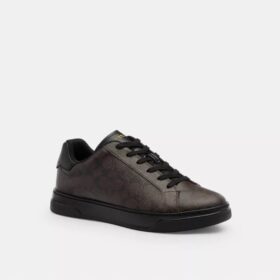 Sneaker alte in Signature Canvas