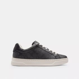 Sneaker alte in Signature Canvas