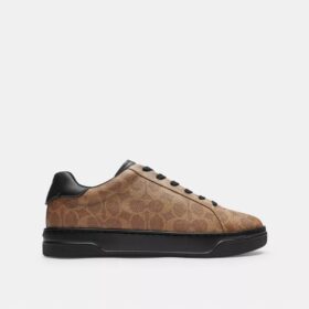 Sneaker alte in Signature Canvas