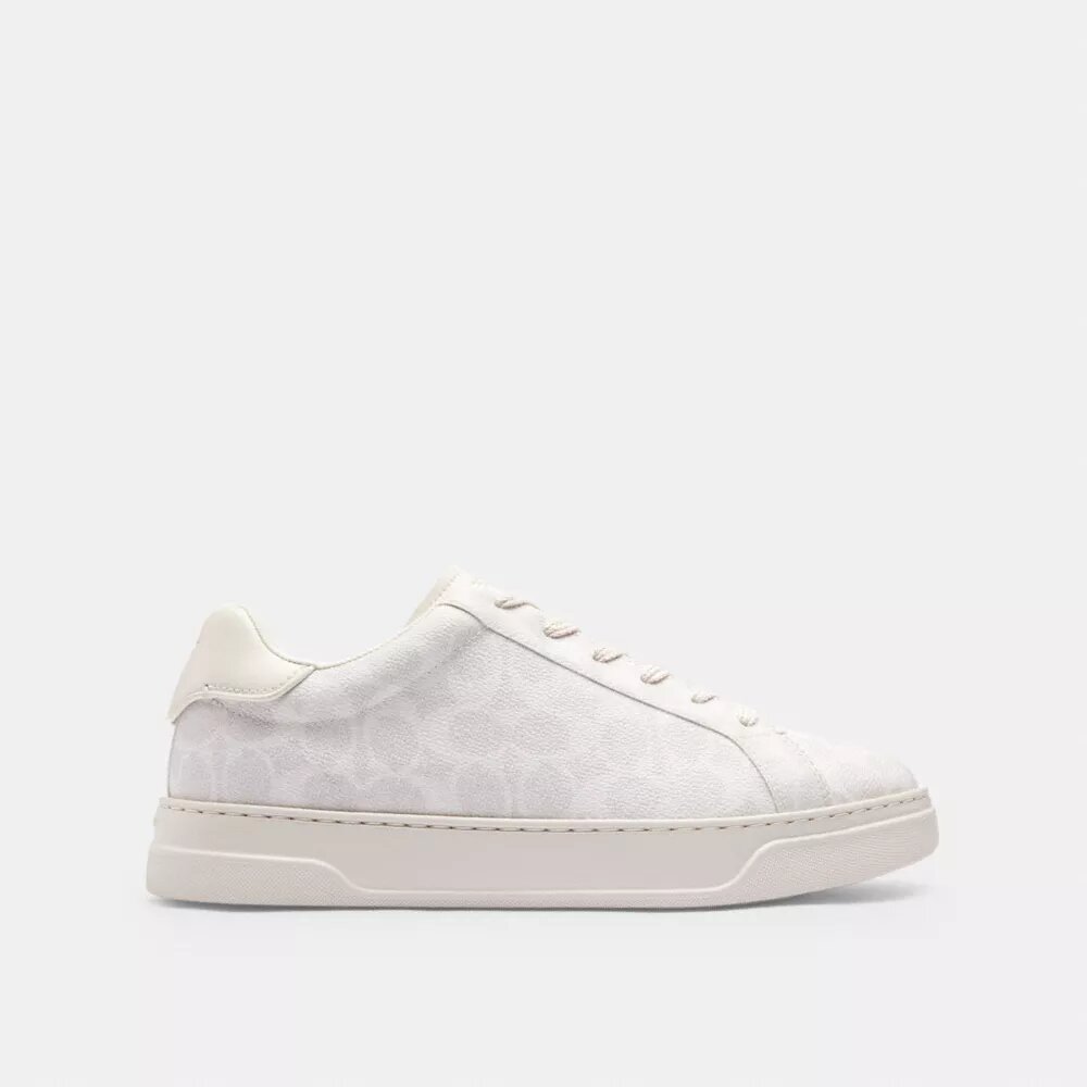 Sneaker alte in Signature Canvas