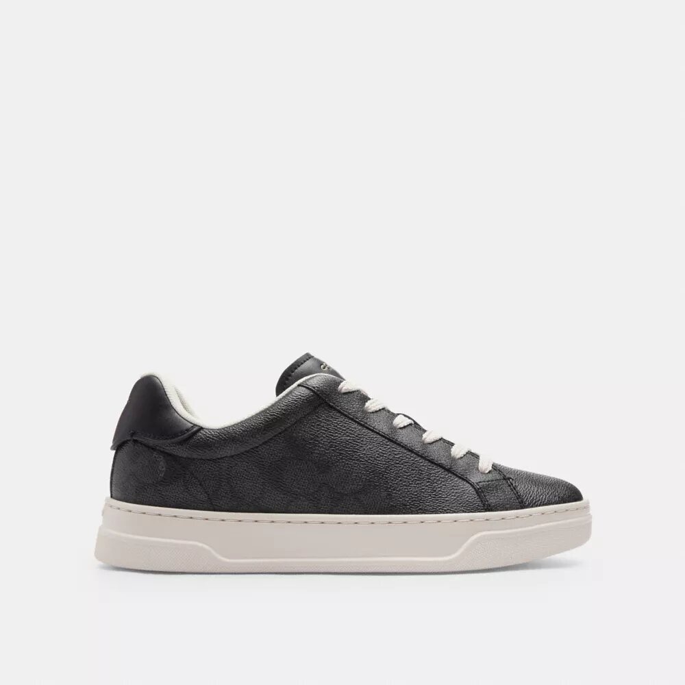 Sneaker alte in Signature Canvas