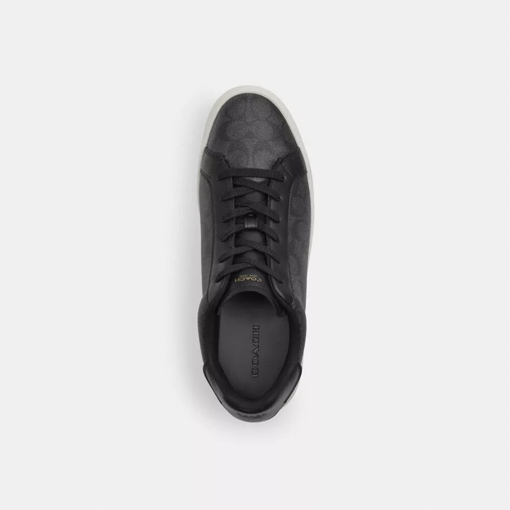 Sneaker alte in Signature Canvas
