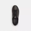 Sneaker alte in Signature Canvas