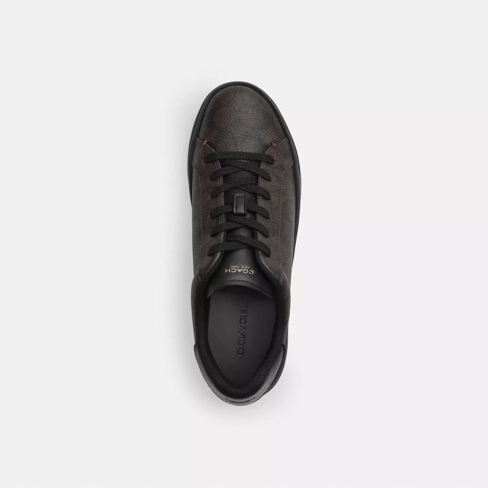 Sneaker alte in Signature Canvas