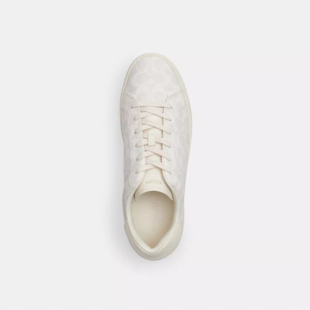 Sneaker alte in Signature Canvas