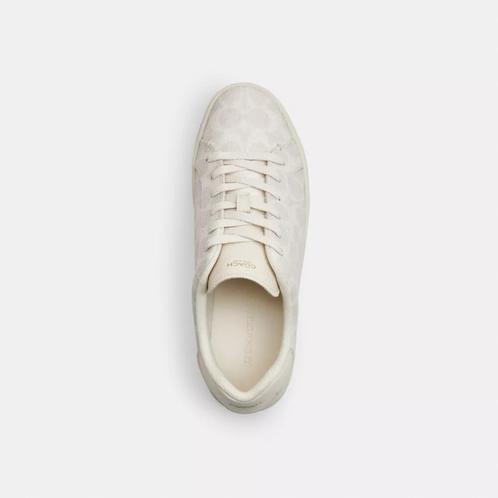 Sneaker alte in Signature Canvas