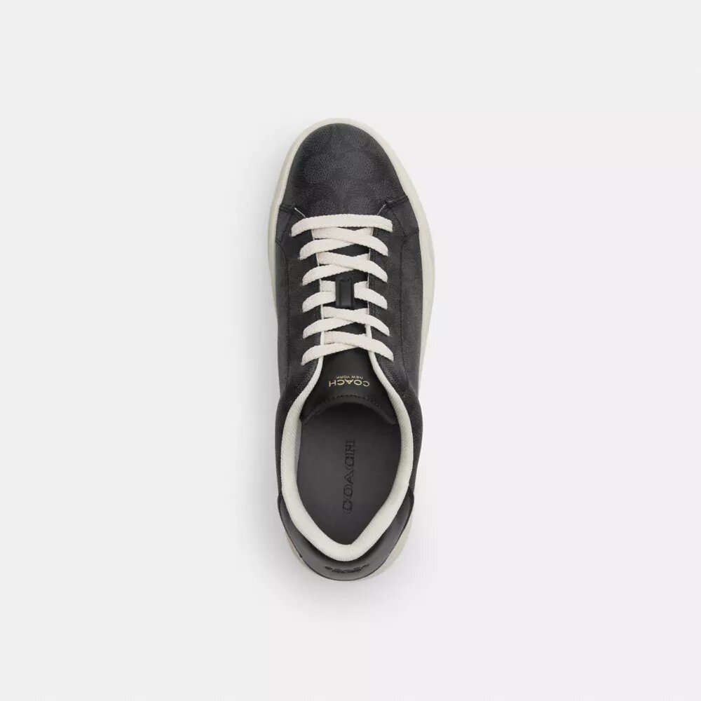 Sneaker alte in Signature Canvas