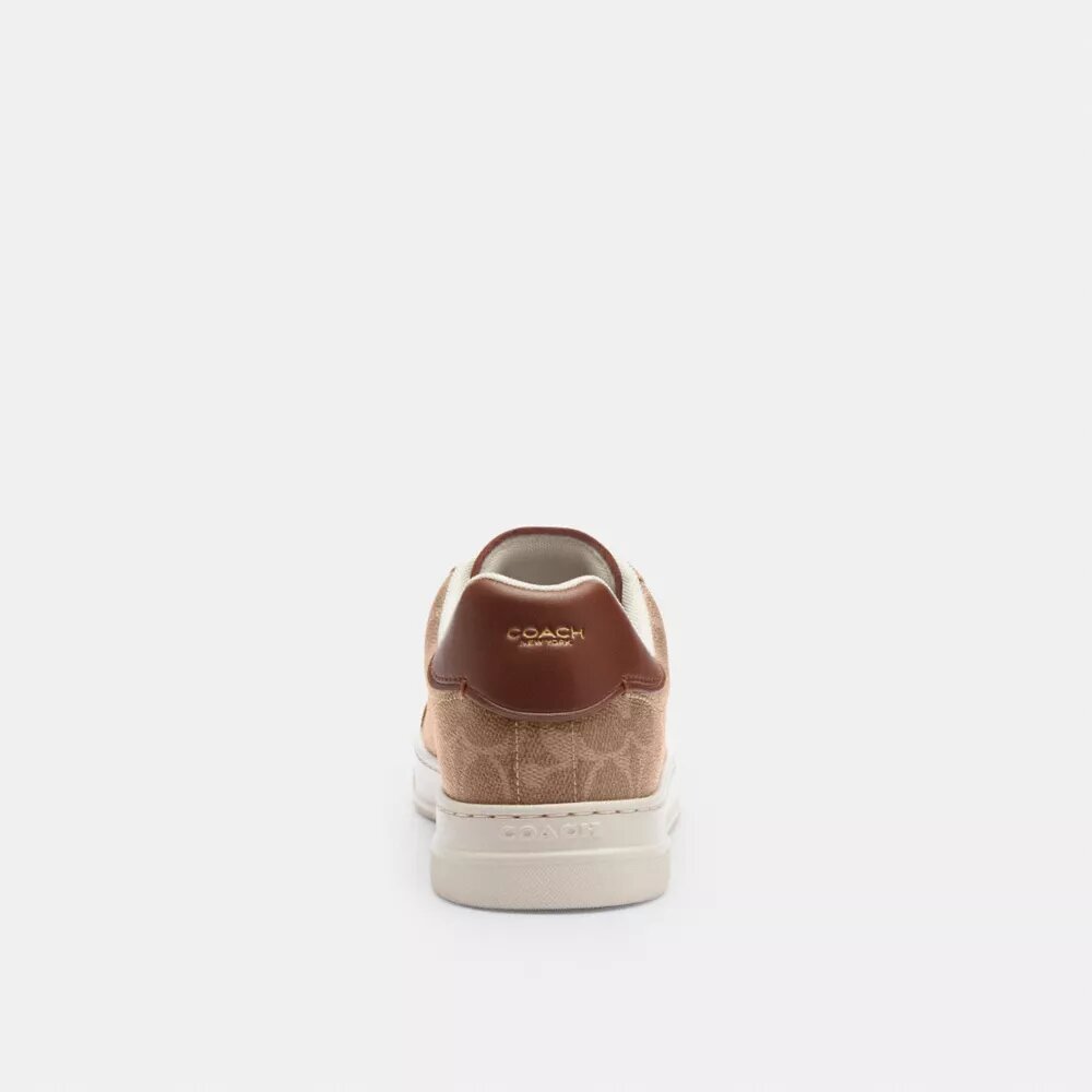 Sneaker alte in Signature Canvas