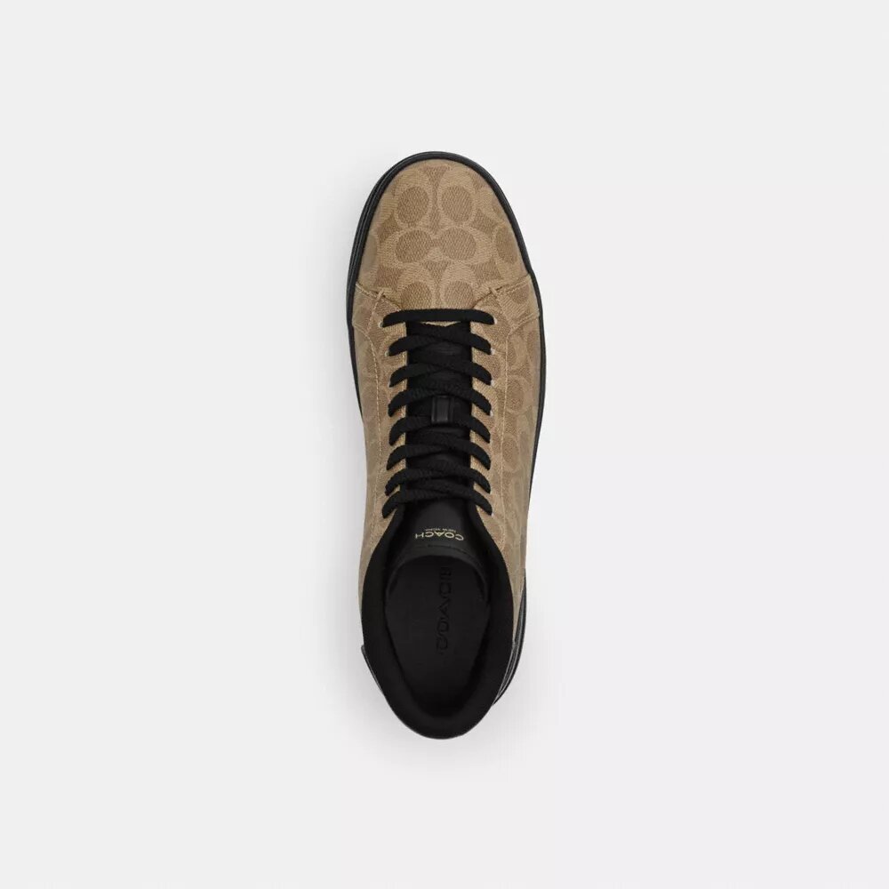 Sneaker High Line High Top in Signature Canvas