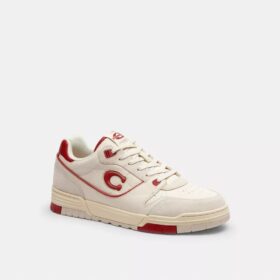 Sneaker Soho