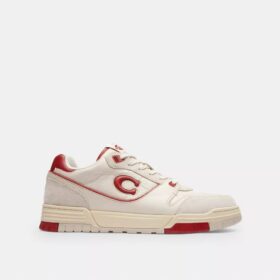 Sneaker Soho