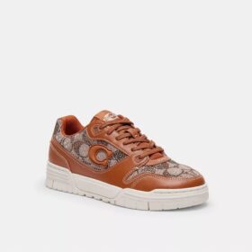 Sneaker Soho in jacquard Crystal Signature