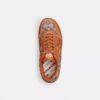 Sneaker Soho in jacquard Crystal Signature