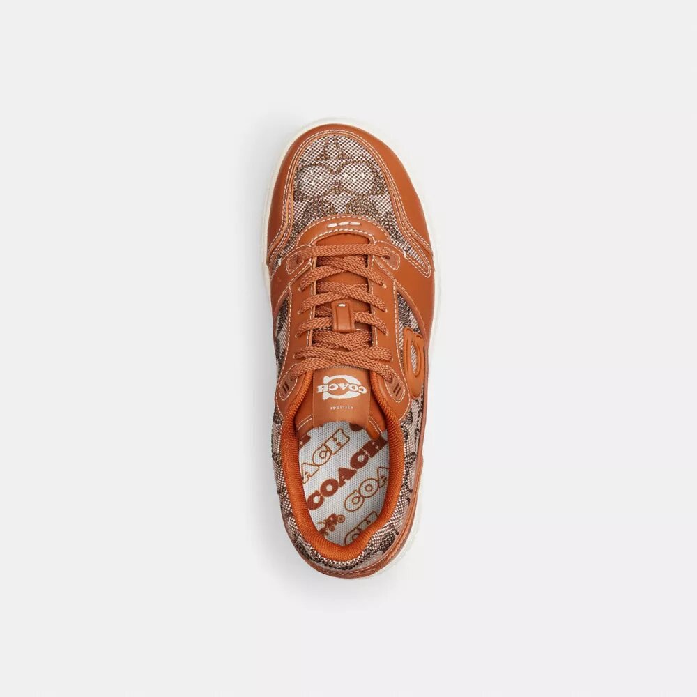 Sneaker Soho in jacquard Crystal Signature