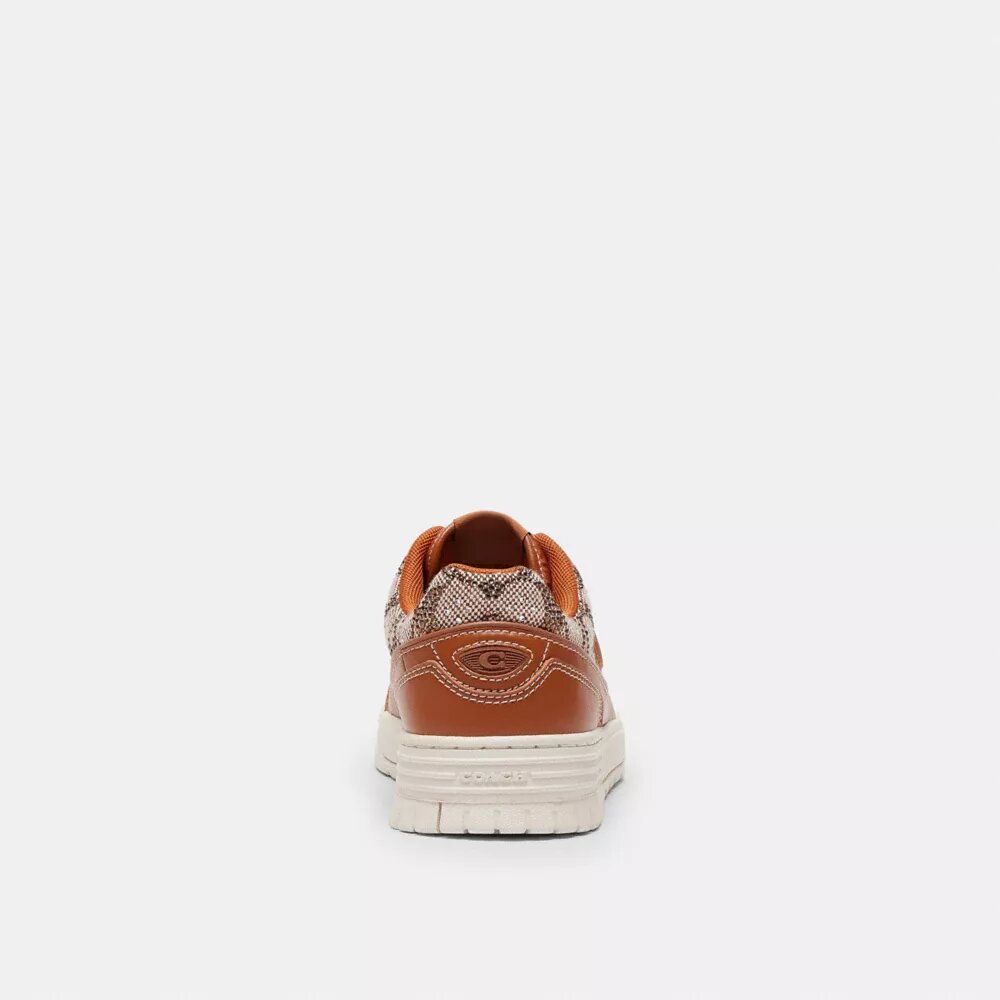 Sneaker Soho in jacquard Crystal Signature
