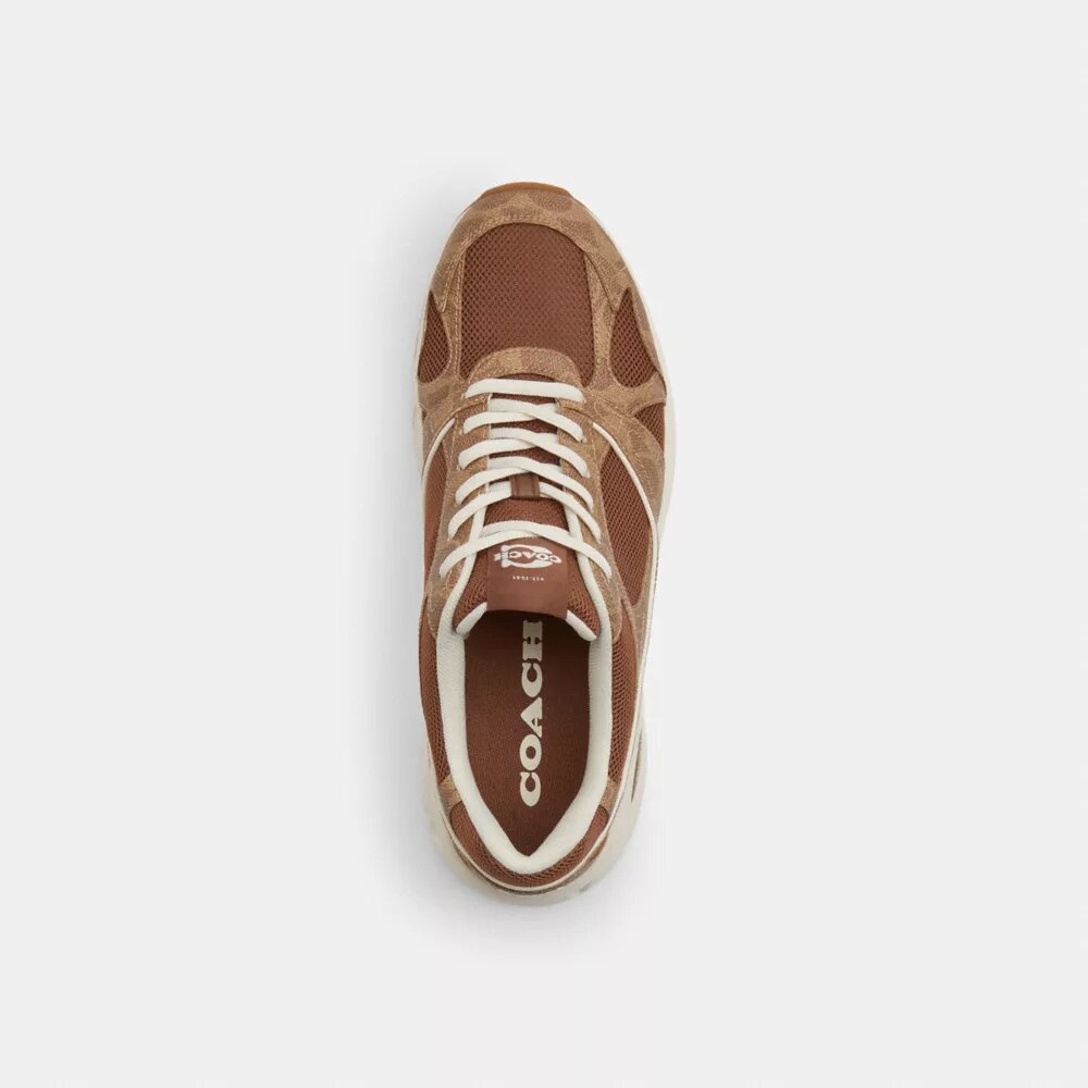 Sneaker sportive in Signature Canvas